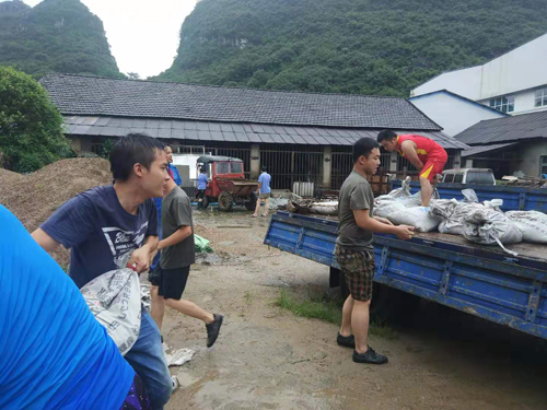点击查看大图